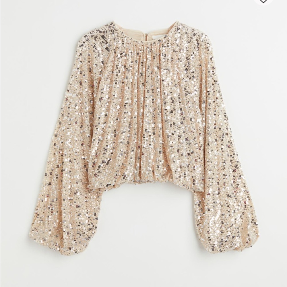 H&M Sparkling Sequin Cropped Top in Silver